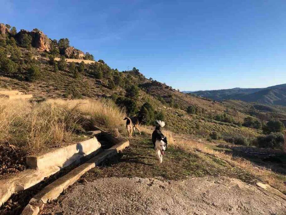 Casa Rural Con Encanto Senorio Manchego Albacete Yeste Εξωτερικό φωτογραφία
